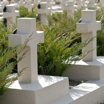 Military cemetery. Since its creation in 1787 Lychakiv Cemetery Lvov, Ukraine