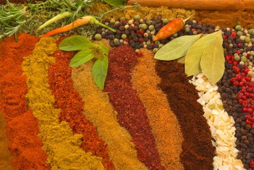 Healthy organic spices and herbs 