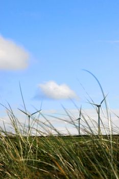 a wind farm off the irish coast