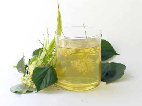 herb tea of linden flowers