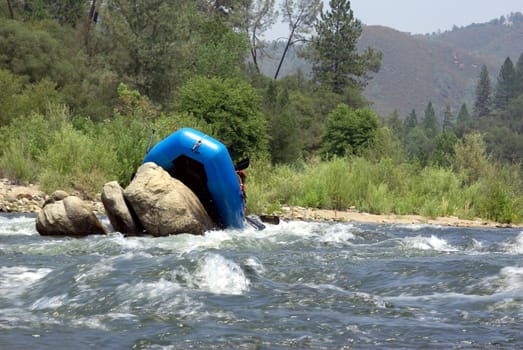 River rafters miss the channel and get hung up on boulders rafting down the American river