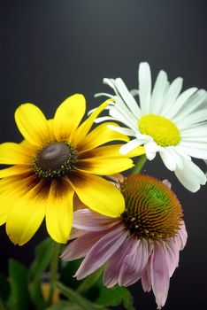 Purple Coneflower, Daisy and a Black-eyed Susan in a simple arrangement.