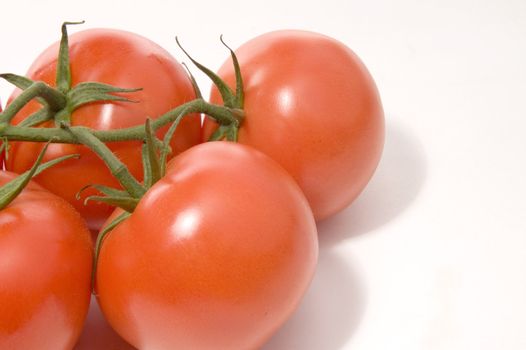 Four red juicy tomatoes on white background