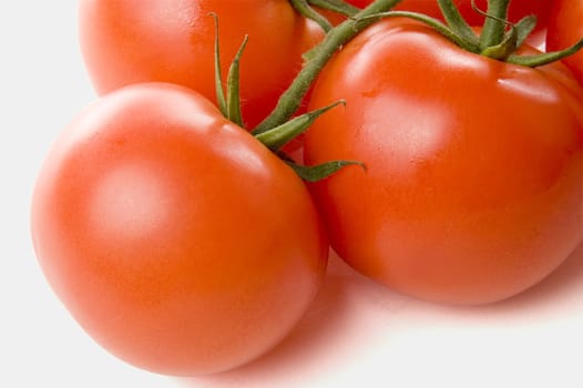 Three red juicy tomatoes on white background