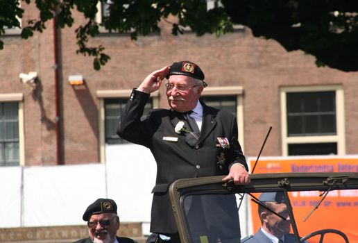 Veteran soldier saluting on Veterans Day parade
