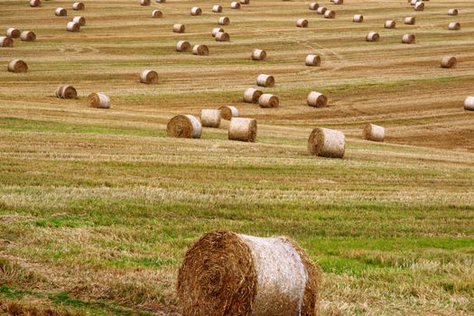 a scenic view in the irish countryside