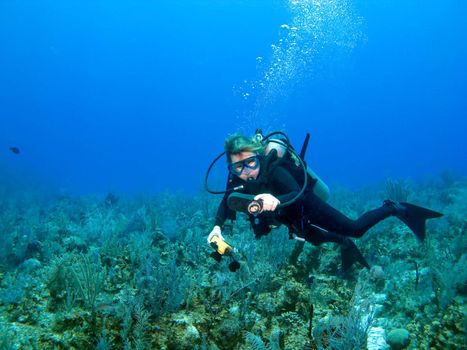 Scuba Diver Checking Gauges in the Caribbean