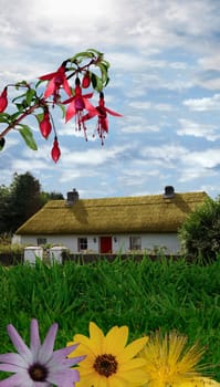 a house in the quiet and peace of the country