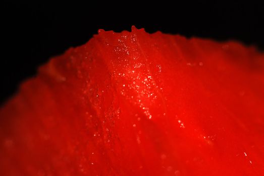 fruit macro shots