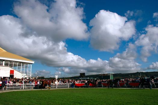 a wet day at the horse races