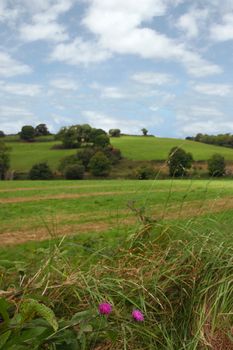 the beautiful green grass of irelands countryside,