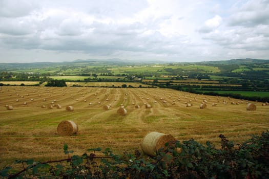 a scenic view in the irish countryside