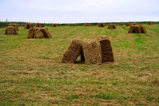 a scenic view in the irish countryside