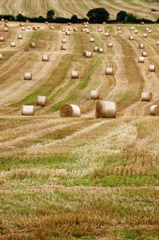 a scenic view in the irish countryside