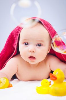 Eight month baby girl playing with rubber duck in studio. Vertical view