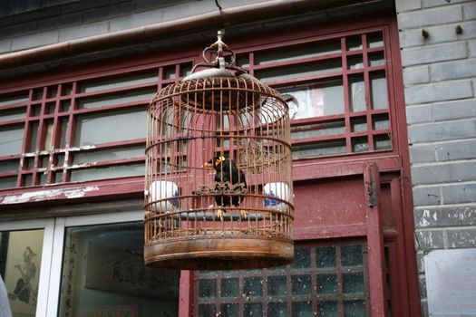 shop in the old city of Luoyang