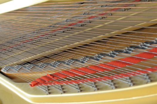 inside grand piano. A photo close up, natural color