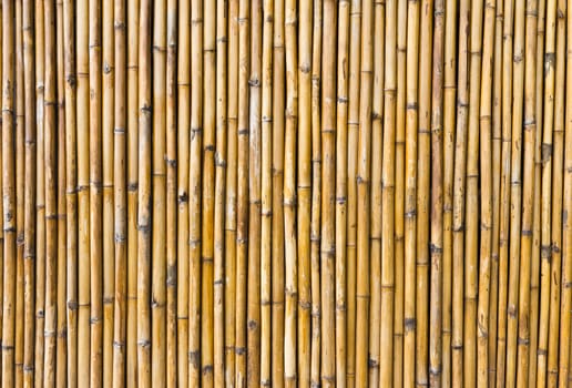 Bamboo walls with unique patterns.