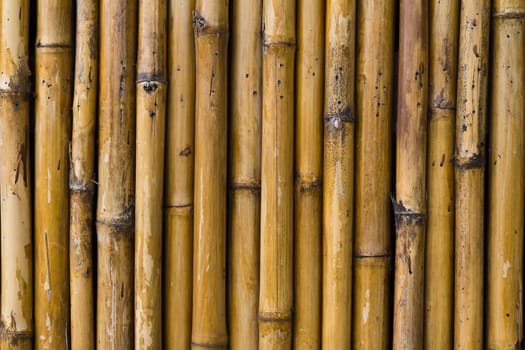 Bamboo walls with unique patterns.