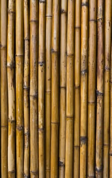 Bamboo walls with unique patterns.