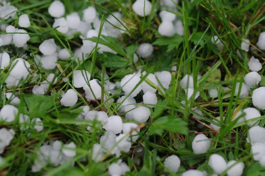 hail balls on the ground