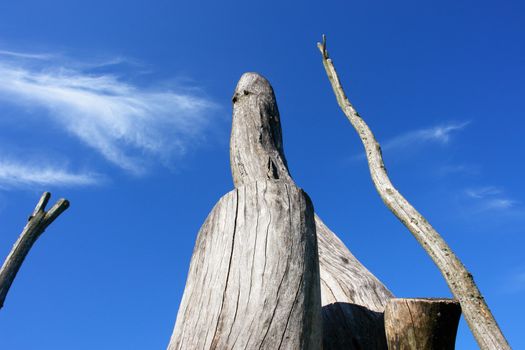 dead trees against blue sky