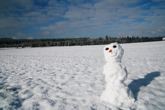 beautiful winter mood.snowman in winter.