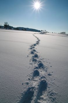 Footprints in the snow Tracks in the snow............