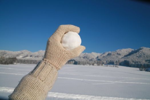 happy snow ball fight in winter time