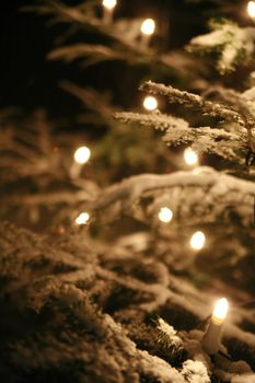 xmastree at night with snow and electric candles, very shallow DOF!............