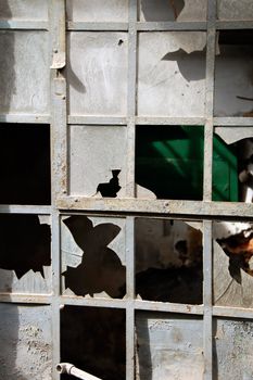 Broken windows of a partially demolished abandoned factory.