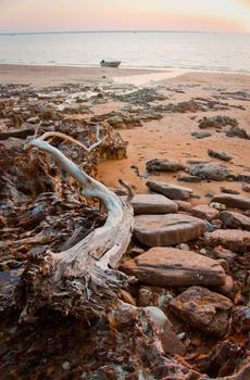 the ocean coast in Darwin, Australia