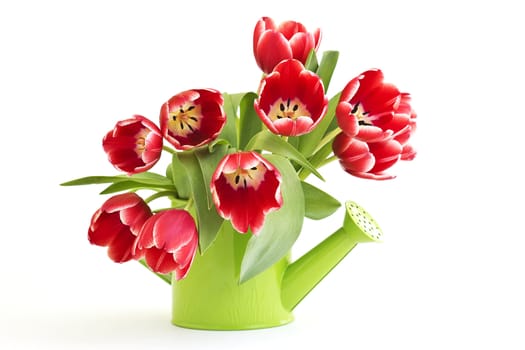 bunch of red tulips