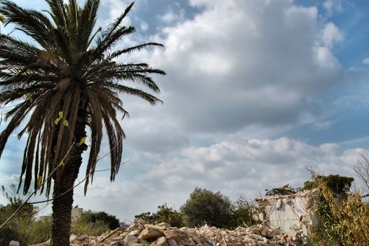 Pile of rubble from demolished house and palm tree.