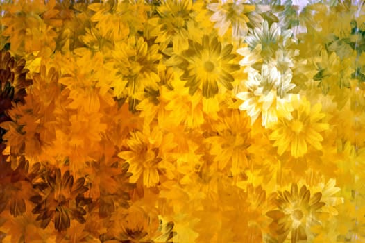 Abstract floral pattern. Digitally created background illustration.