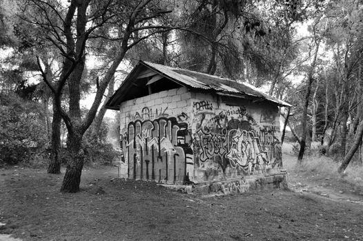 Graffiti covered cinder block hut in a forest. Black and white.