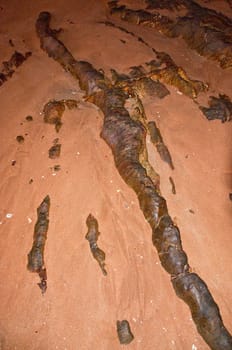 sand on a tropical beach, australia