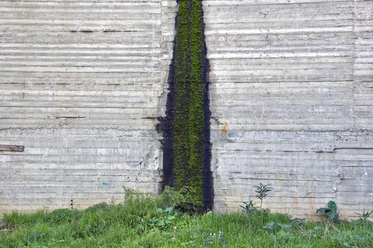 Moss and water stains on reinforced concrete wall. Background texture.