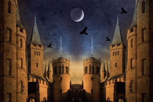 old castle at night with moon and birds