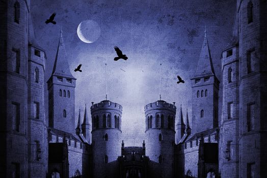 old castle at night with moon and birds
