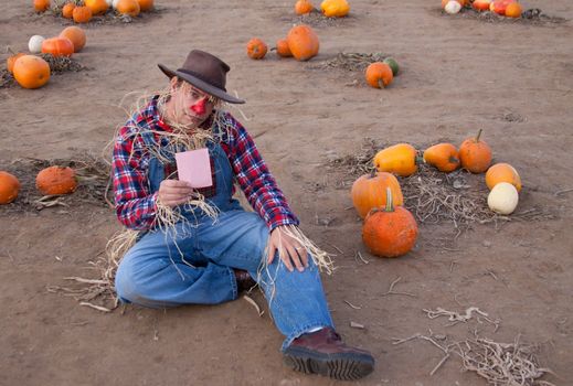 The scarecrow gets a pink slip in the pumpkin patch at the end of the season.