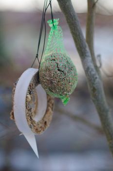 bird seed outside to feed birds in winter