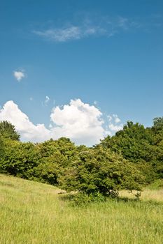 Meadow and the sky. A rural landscape in summertime of year