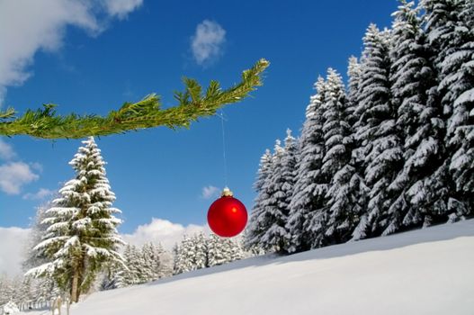 a red bauble in a winter landscape