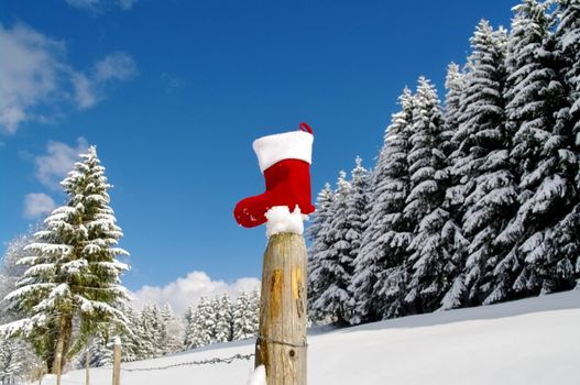 a red bauble in a winter landscape