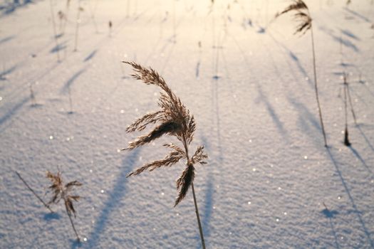 Details of a beautiful snow surface perfect for backgrounds on greeting cards etc.