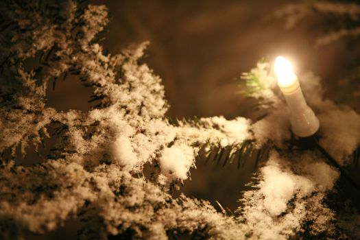 xmastree at night with snow and electric candles, very shallow DOF!............