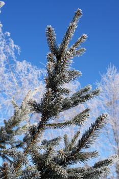 a red bauble in snowy winter landscape