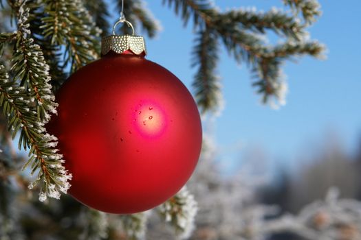 a red bauble in snowy winter landscape