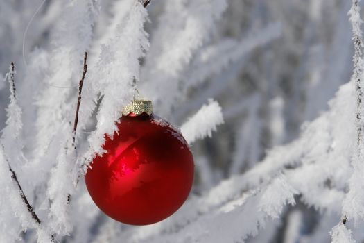 a red bauble in snowy winter landscape